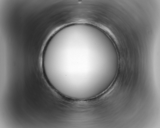 X0000096661424200802121121