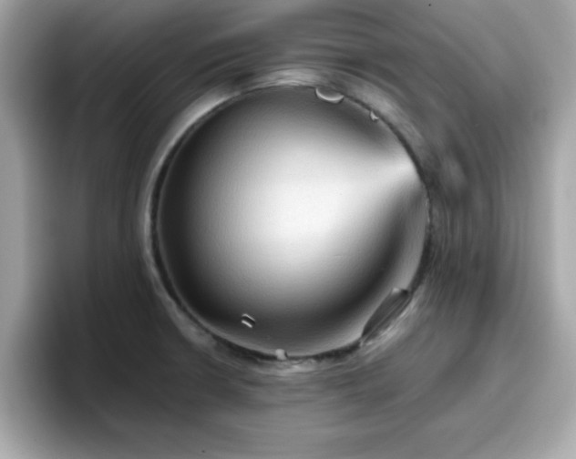 X0000096661426200802121121