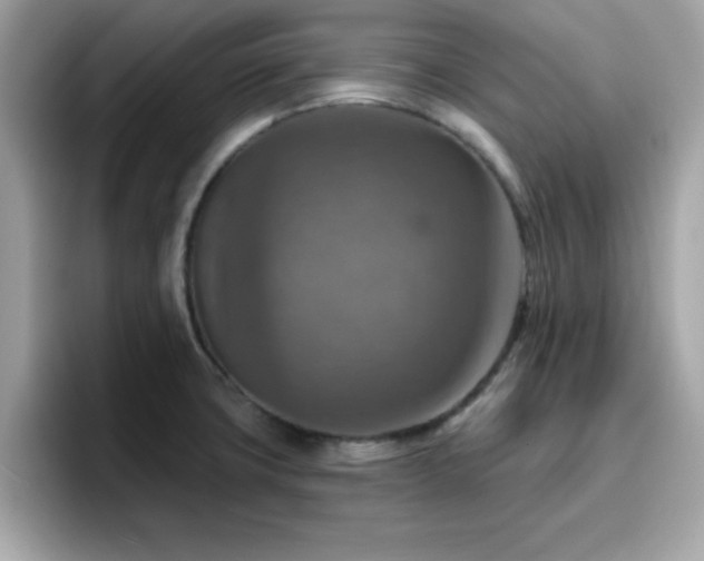 X0000096661427200802121121