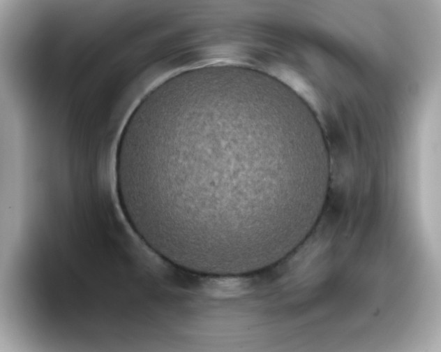 X0000096661431200802121121