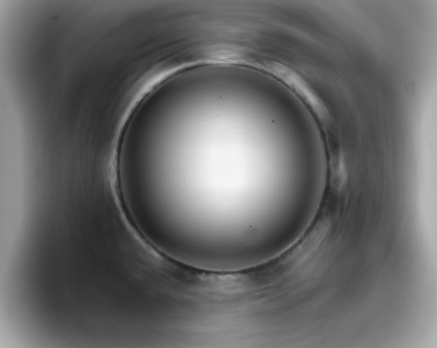 X0000096661432200802121121