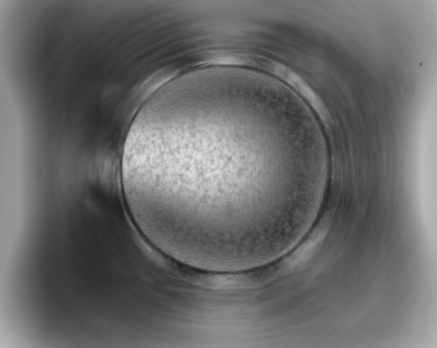 X0000096661433200802121121