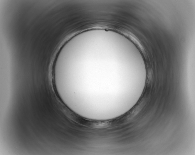 X0000096661435200802121121