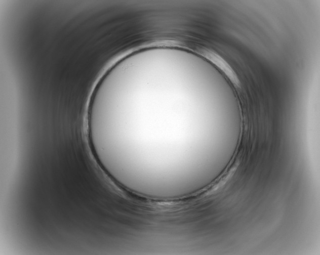 X0000096661436200802121121