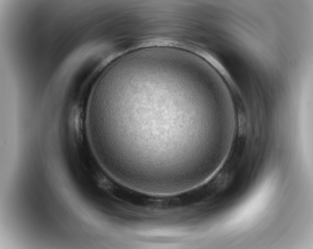 X0000096661438200802121121