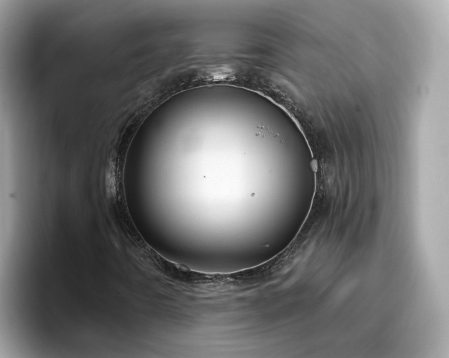 X0000096661442200802121121