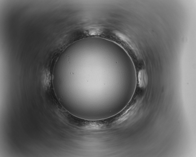 X0000096661443200802121121