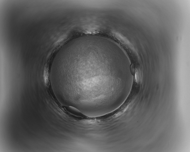 X0000096661444200802121121