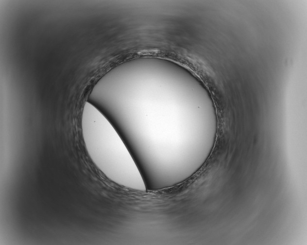 X0000096661445200802121121