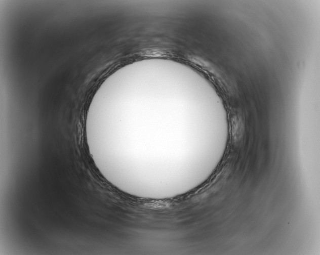 X0000096661446200802121121