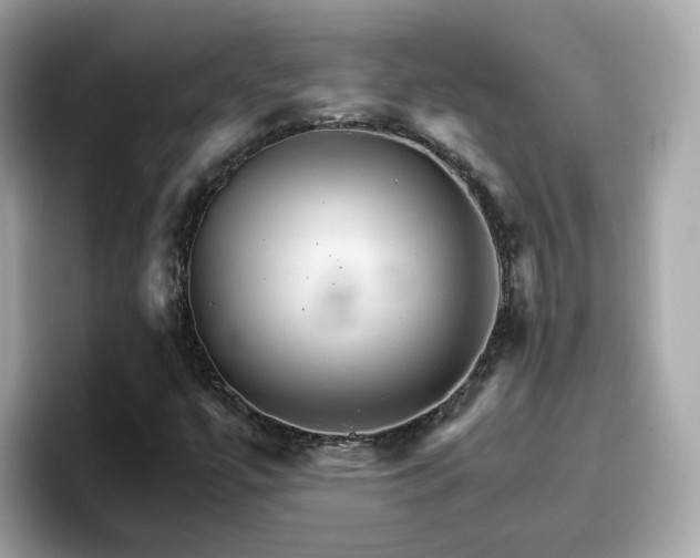 X0000096661447200802121121