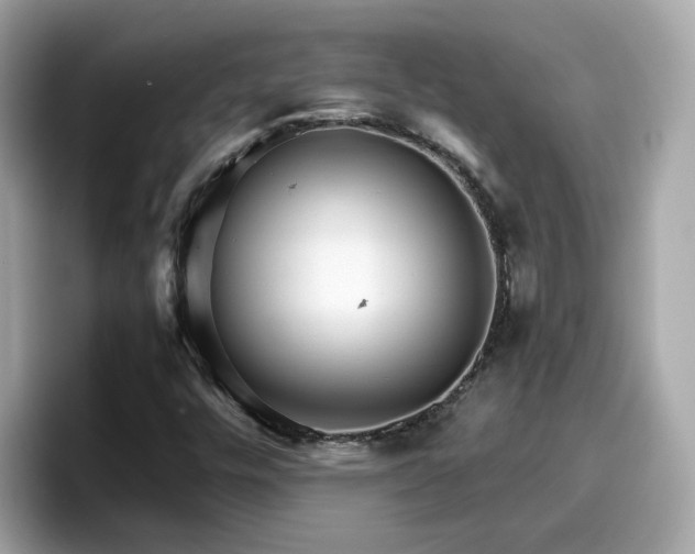 X0000096661448200802121121