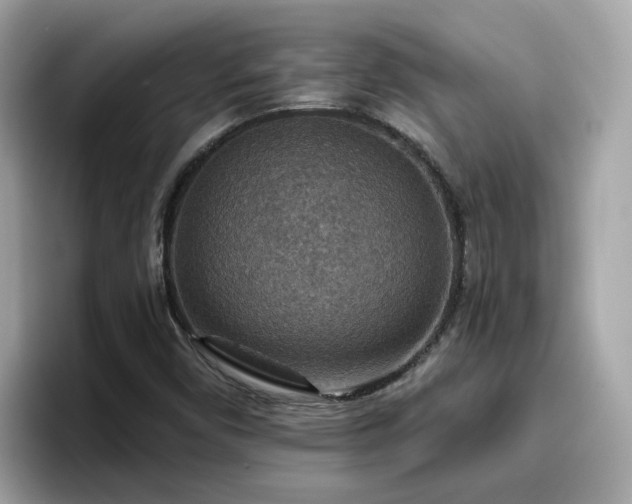 X0000096661450200802121121