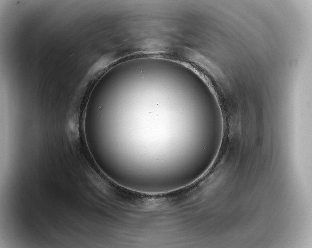 X0000096661451200802121121