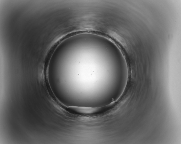 X0000096661452200802121121