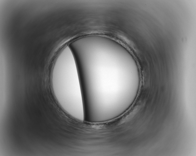 X0000096661453200802121121