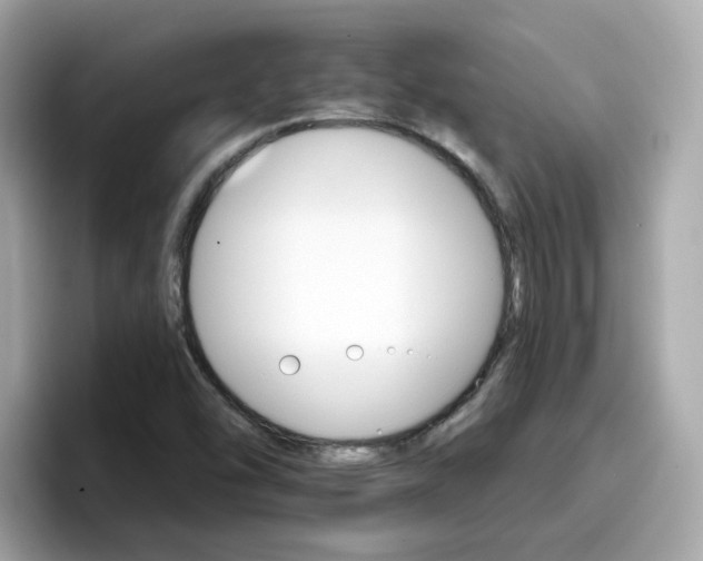 X0000096661454200802121121