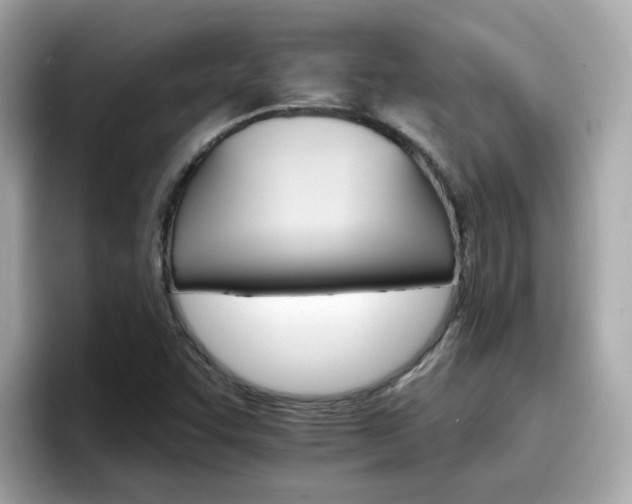 X0000096661455200802121121