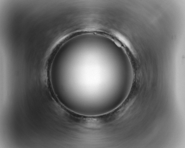 X0000096661456200802121121