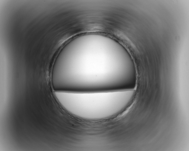 X0000096661457200802121121