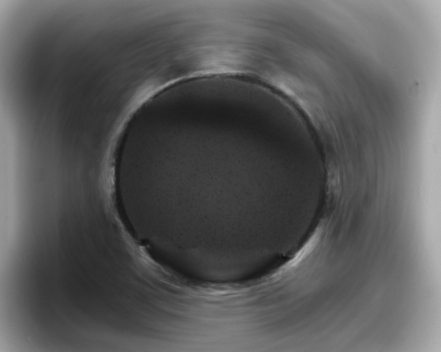 X0000096661459200802121121