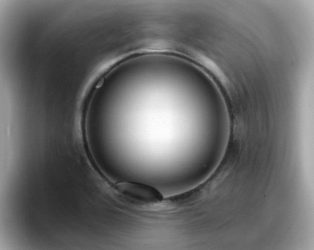 X0000096661464200802121120