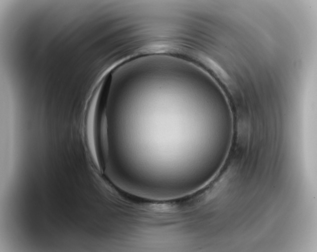 X0000096661465200802121120