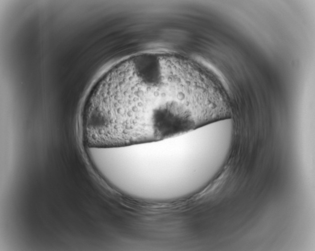 X0000096661467200802121120