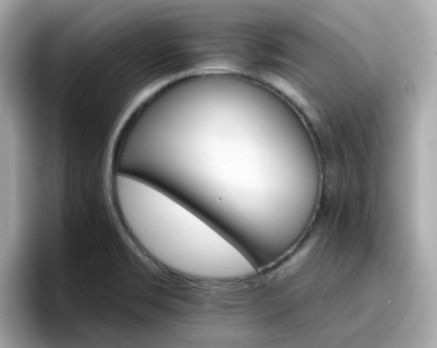 X0000096661469200802121120