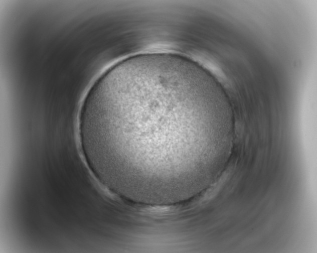 X0000096661470200802121120