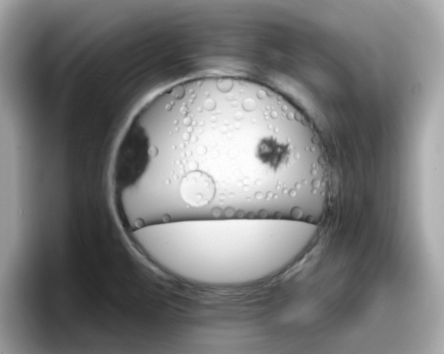 X0000096661471200802121120