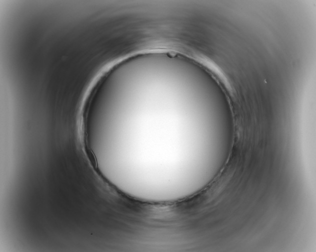 X0000096661472200802121120