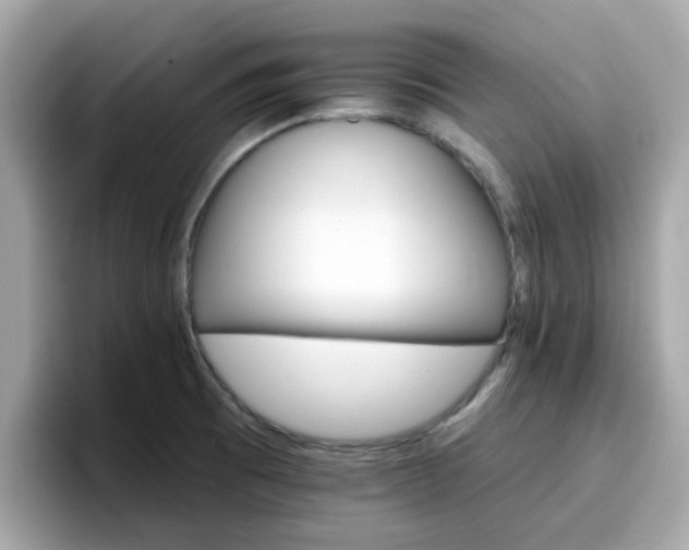 X0000096661473200802121120