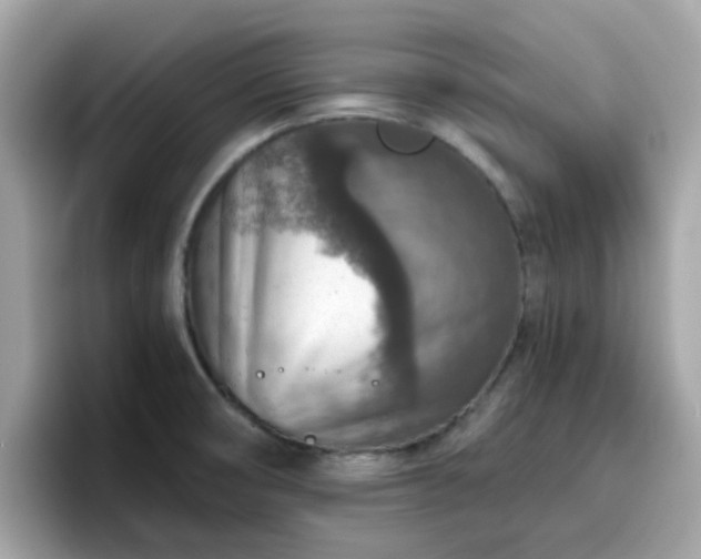 X0000096661474200802121120