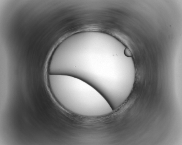 X0000096661475200802121120