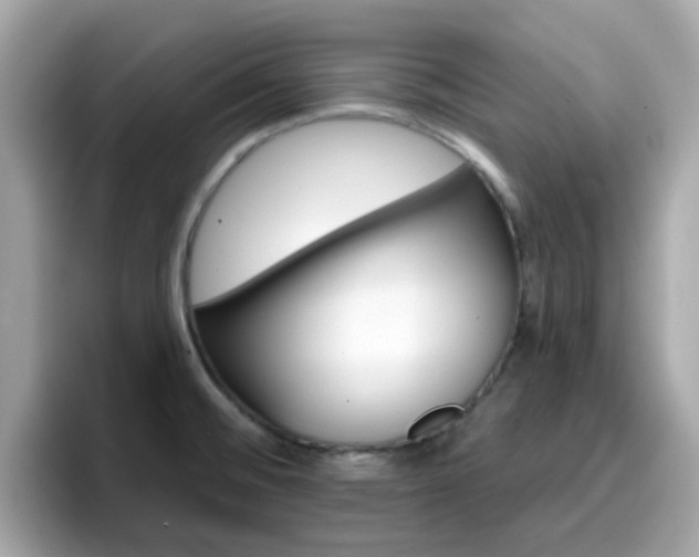 X0000096661476200802121120