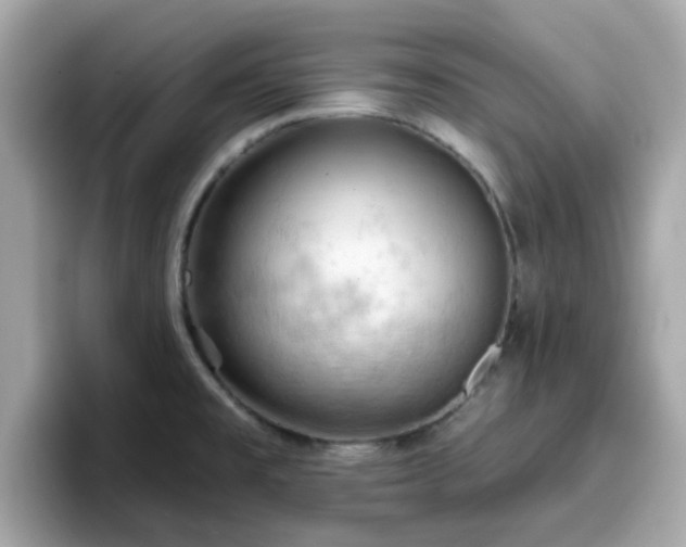 X0000096661477200802121120