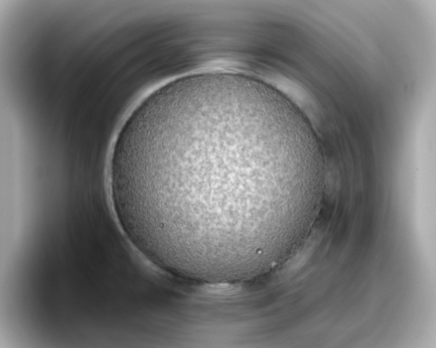 X0000096661478200802121120