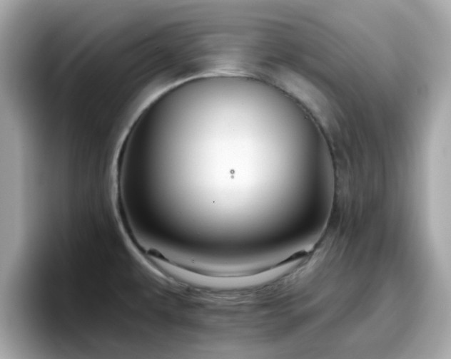 X0000096661479200802121120