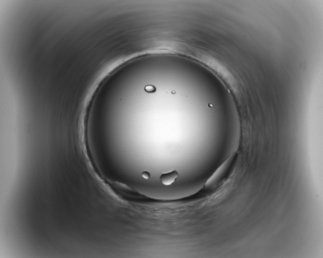 X0000096661480200802121120