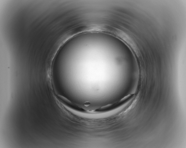 X0000096661481200802121120