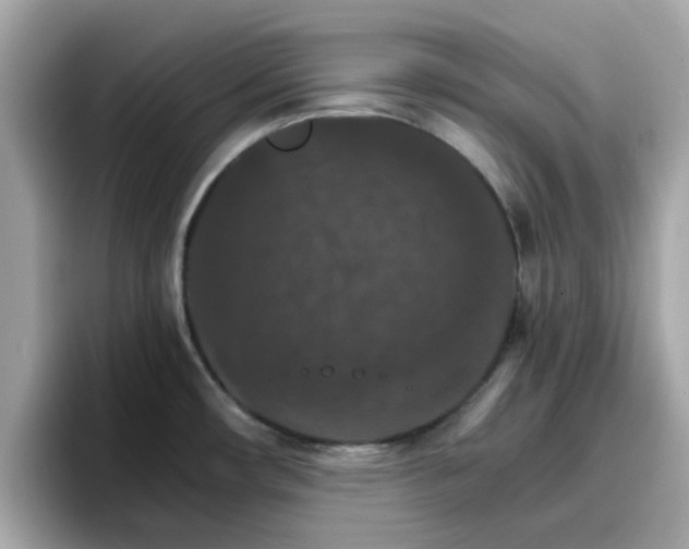 X0000096661482200802121120