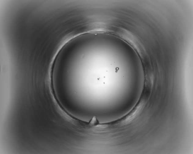 X0000096661483200802121120