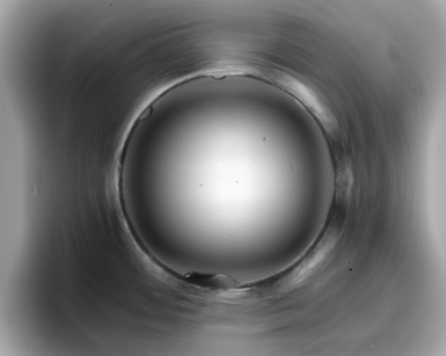 X0000096661484200802121120