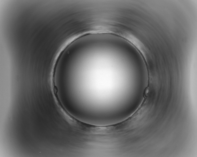 X0000096661485200802121120