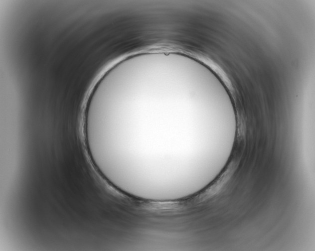 X0000096661486200802121120