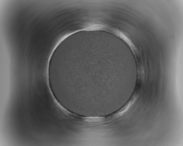 X0000096661487200802121120