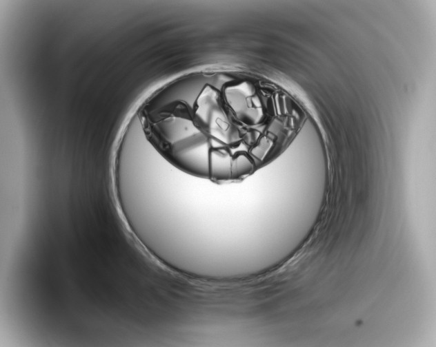 X0000096661488200802121120