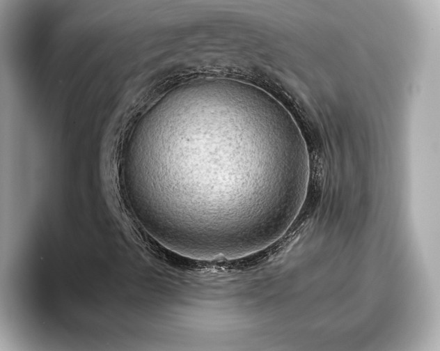 X0000096661489200802121120