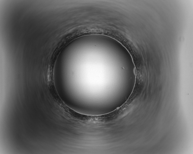 X0000096661490200802121120